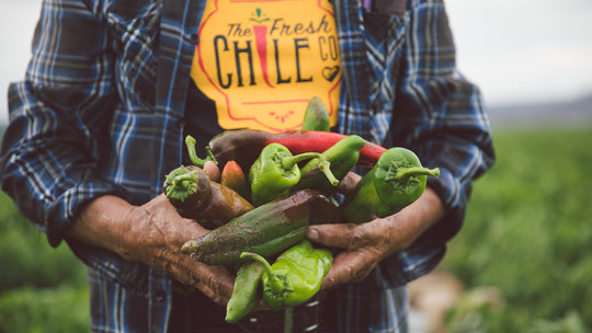 Organ Mountain x The Fresh Chile Co.