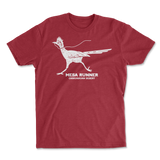 Mesa Runner