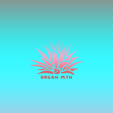 Cacti Wallpaper