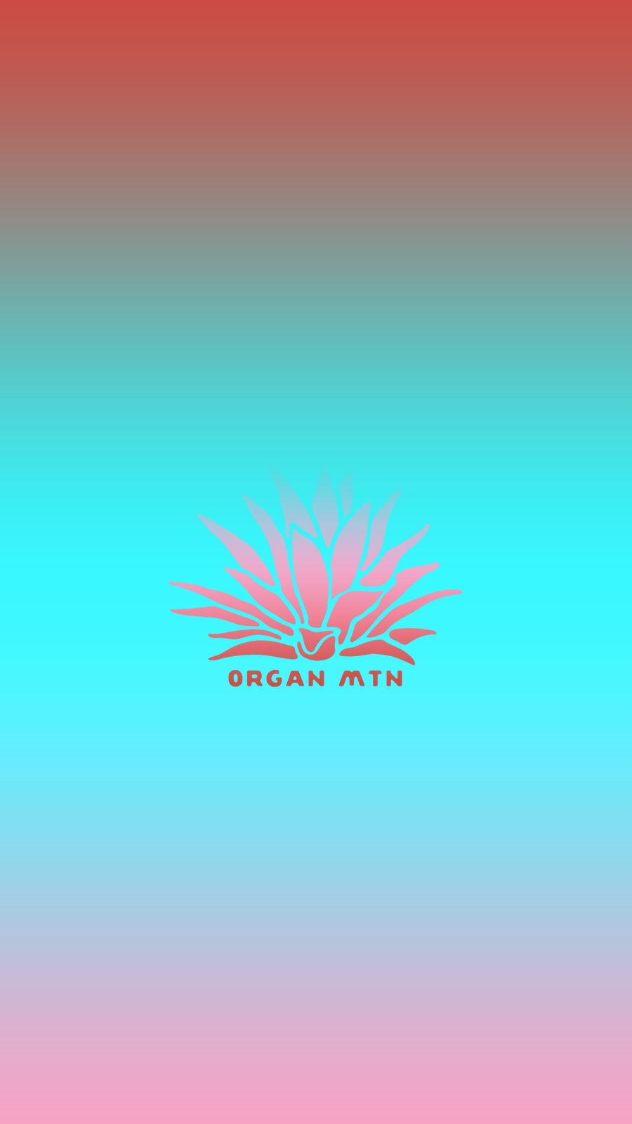 Cacti Wallpaper