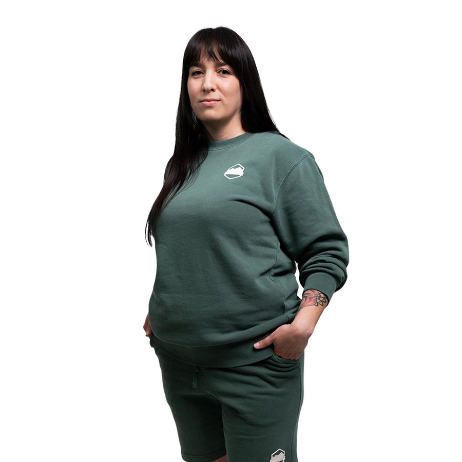Desert Capsule Crewneck - Organ Mountain Outfitters