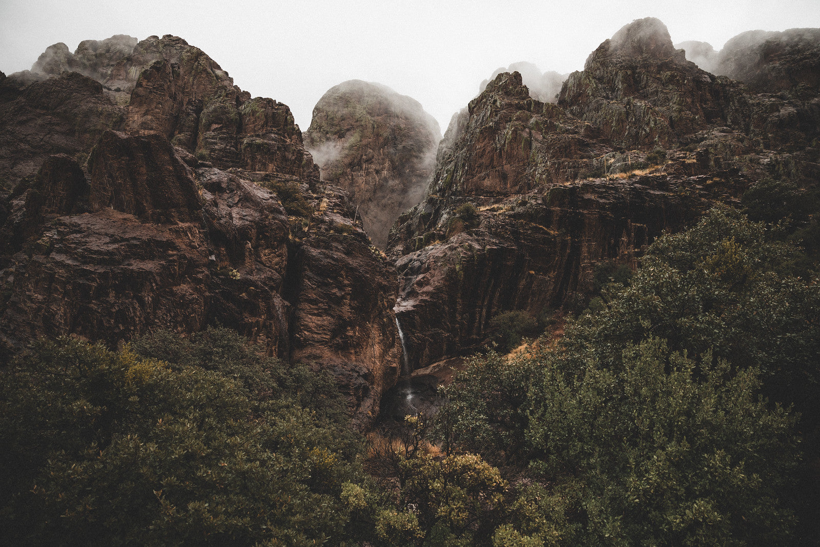 Photography: Dripping Springs - Organ Mountain Outfitters