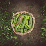 Photography: Hatch Green Chile - Organ Mountain Outfitters