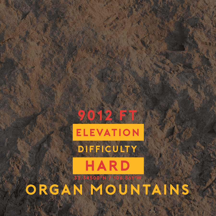 Organ Mountains Needle Long Sleeve