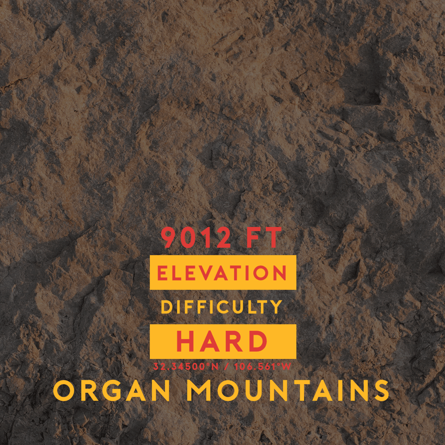 Organ Mountains Needle Hoodie