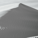 White Sands B&W Dune Wallpaper