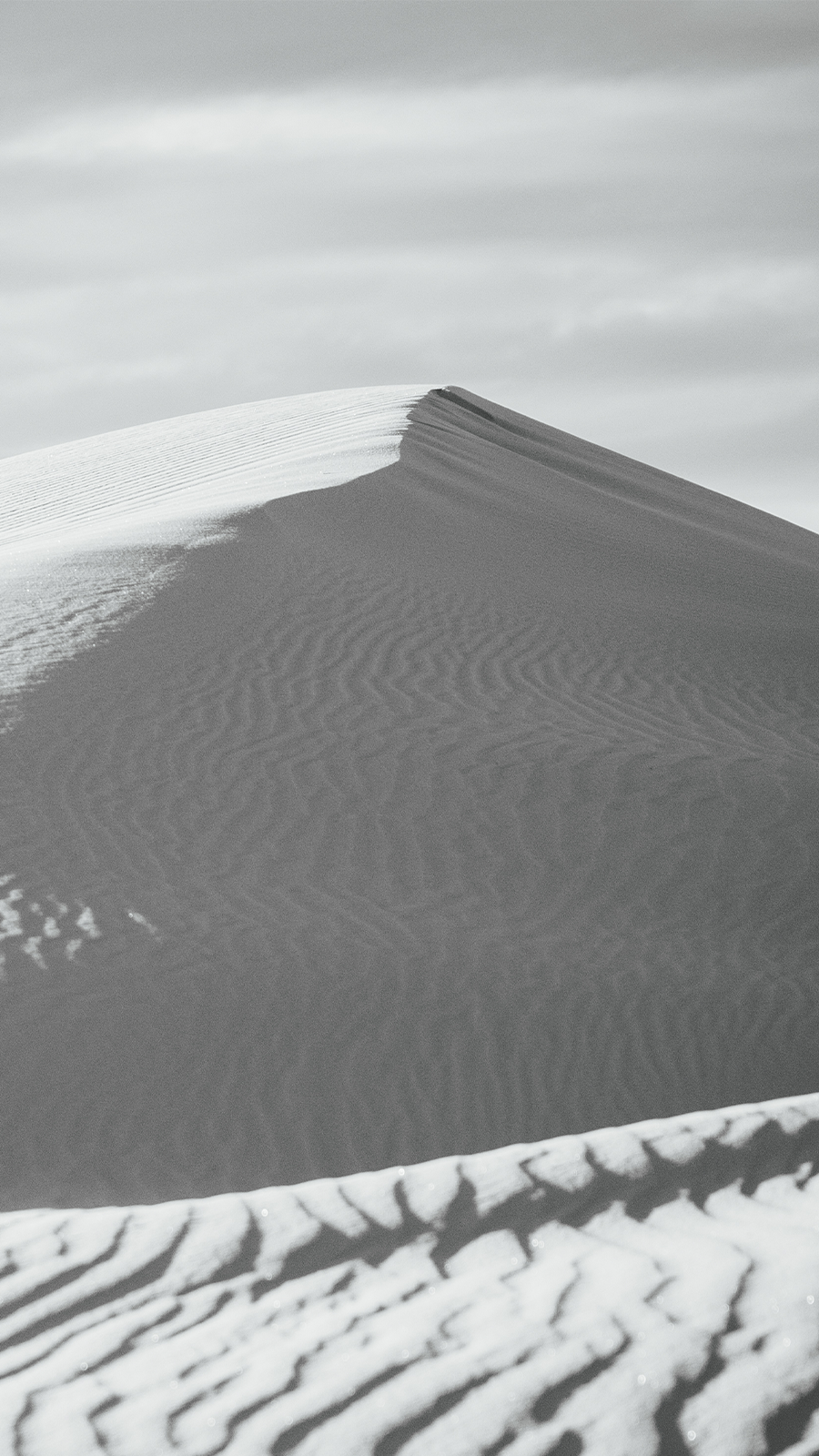 White Sands B&W Dune Wallpaper