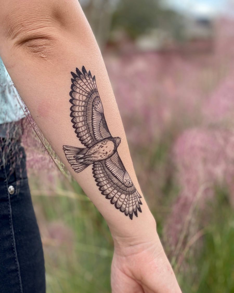 NatureTats - Hawk Temporary Tattoo