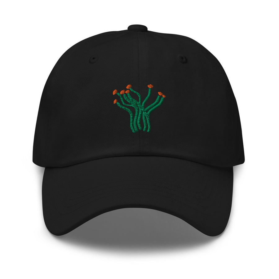 Ocotillo cap