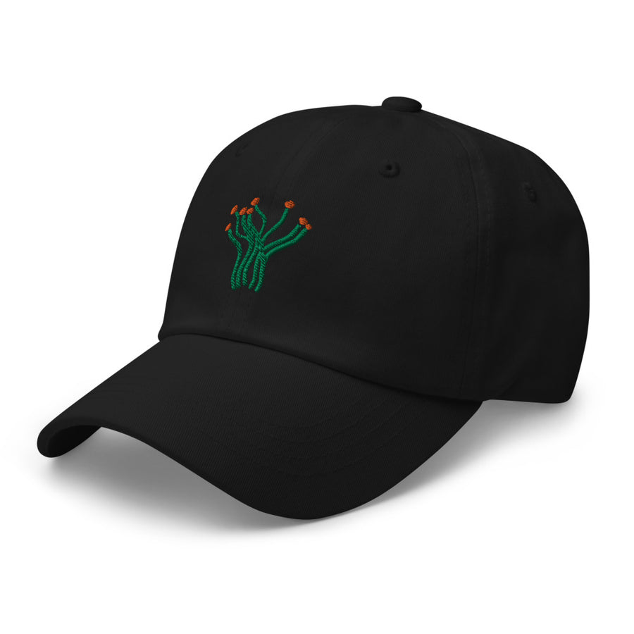 Ocotillo cap