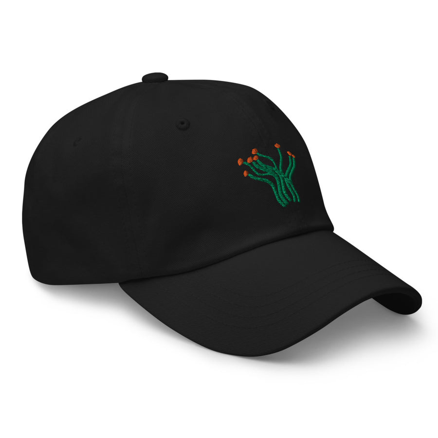Ocotillo cap