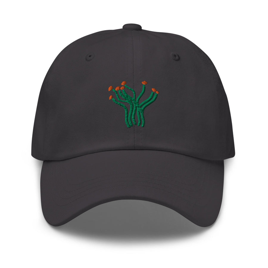 Ocotillo cap