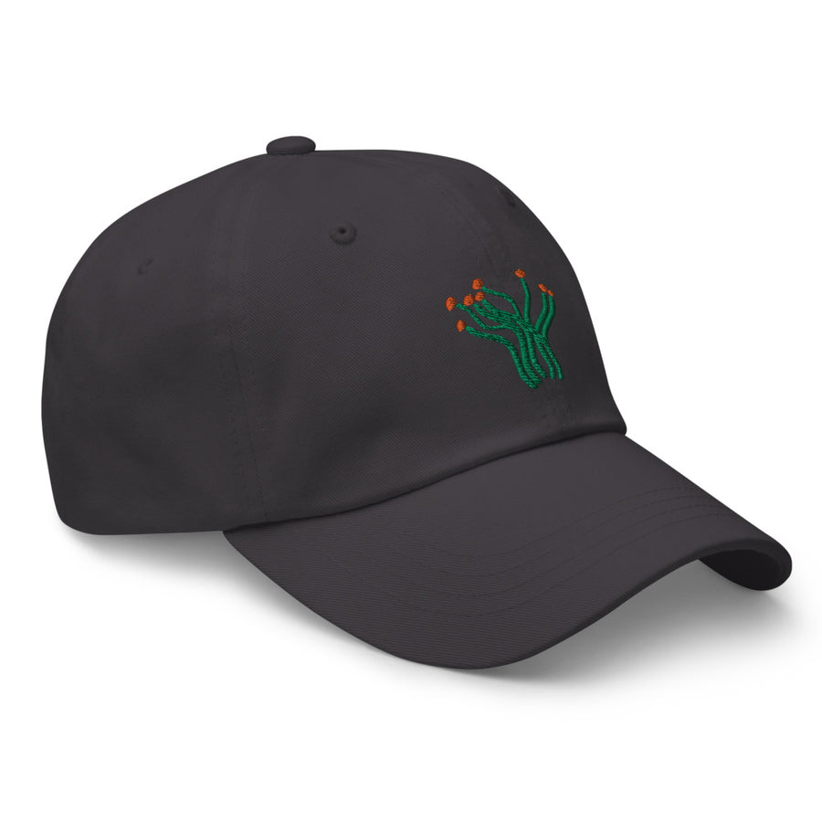 Ocotillo cap