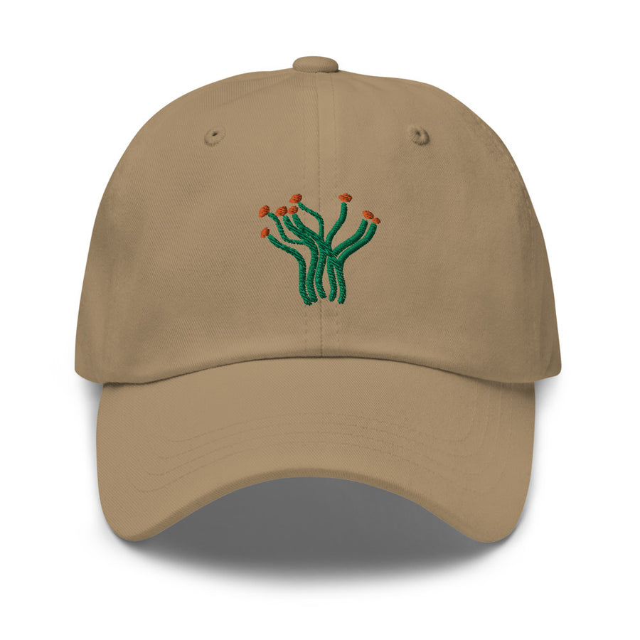 Ocotillo cap