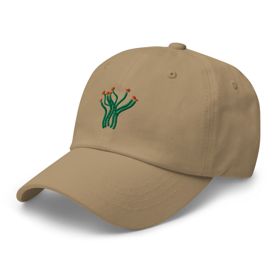 Ocotillo cap