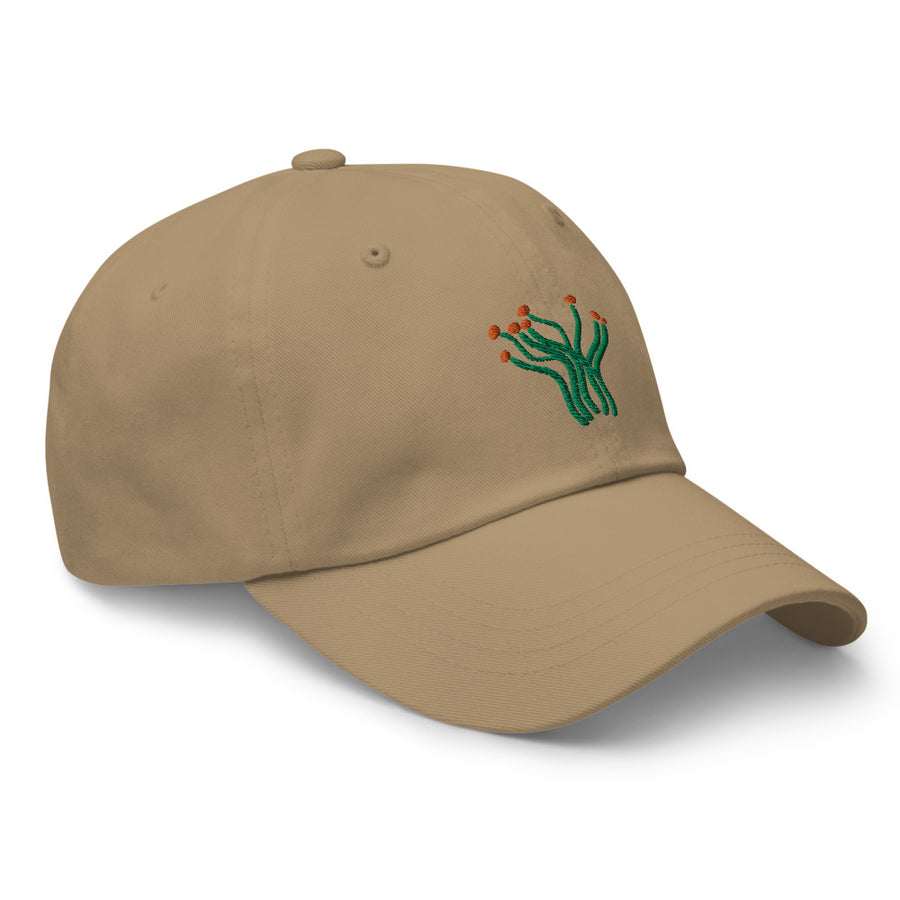Ocotillo cap