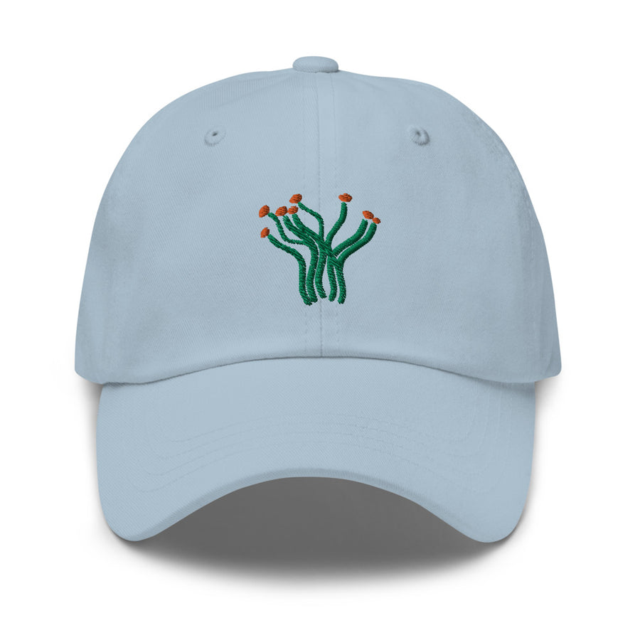 Ocotillo cap