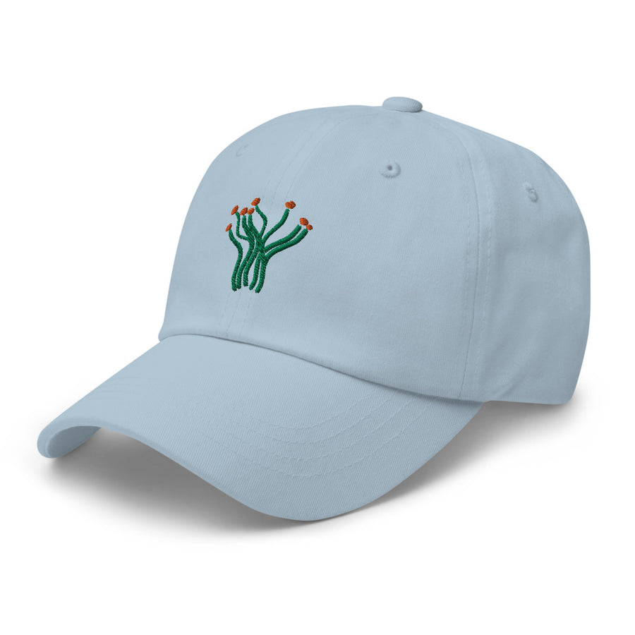 Ocotillo cap