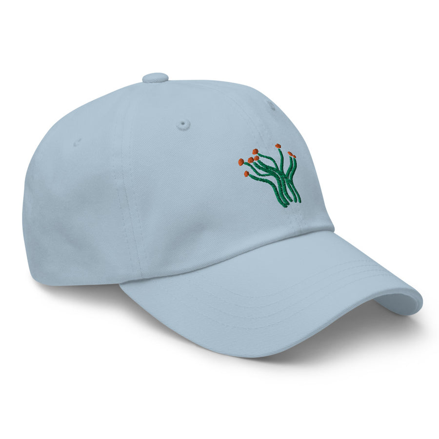 Ocotillo cap