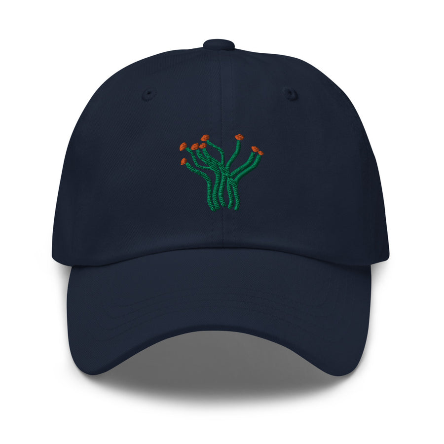 Ocotillo cap