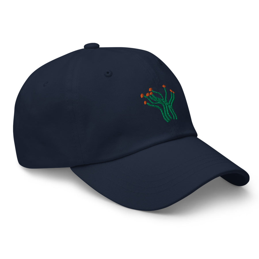 Ocotillo cap