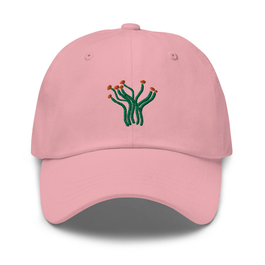 Ocotillo cap