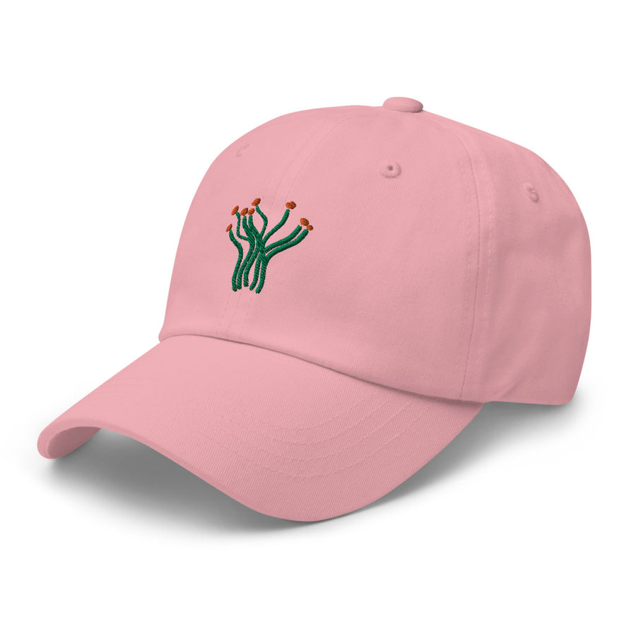 Ocotillo cap