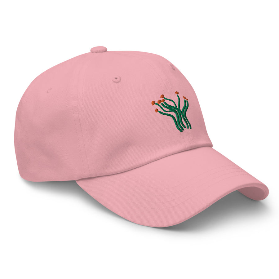 Ocotillo cap