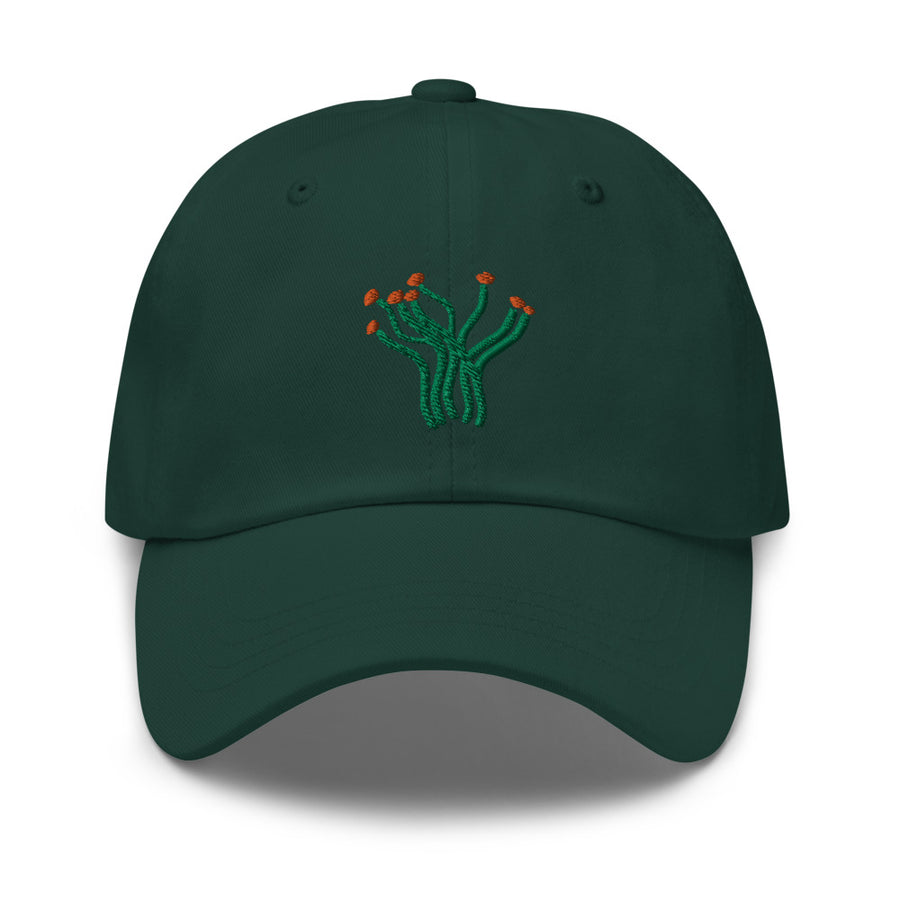 Ocotillo cap