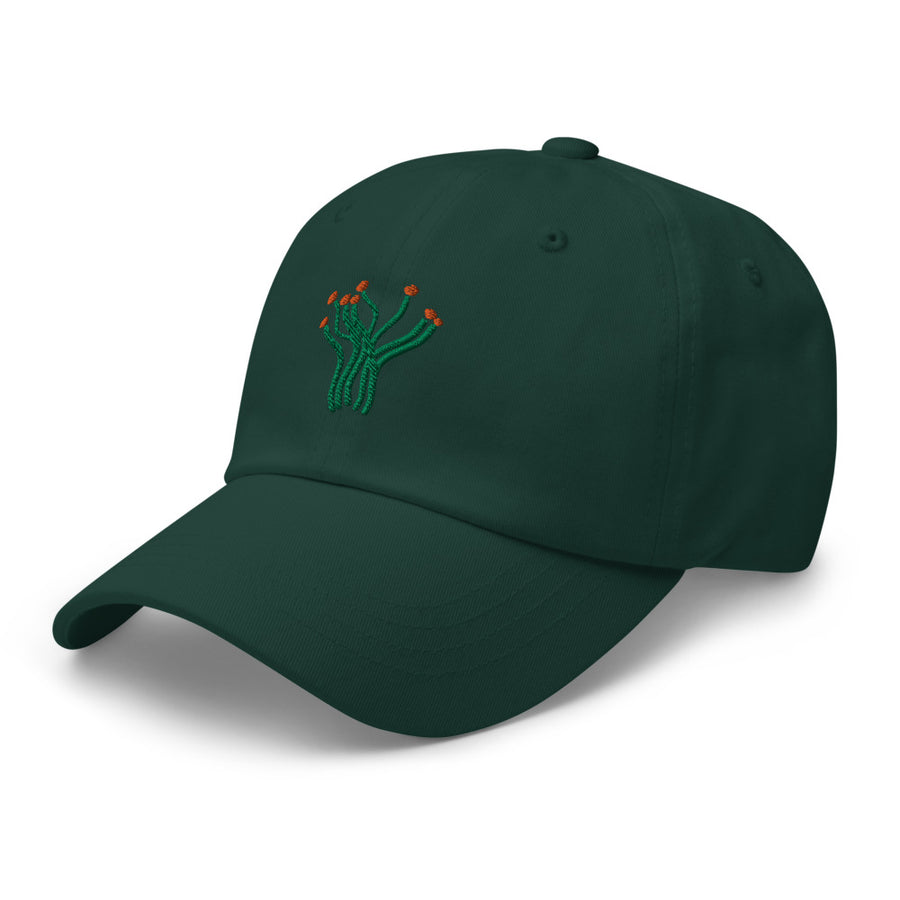Ocotillo cap