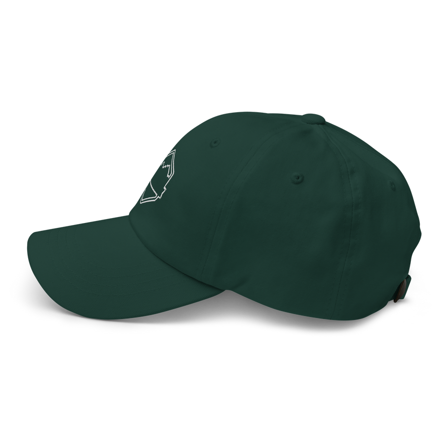 OMO EVO Dad Cap