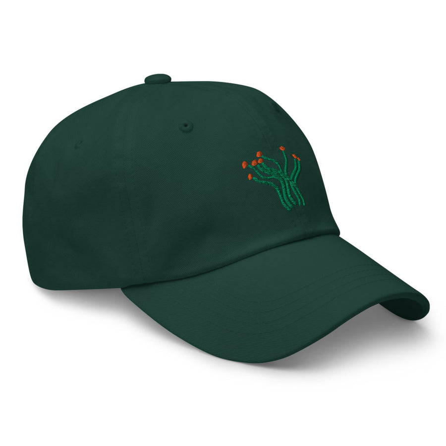 Ocotillo cap