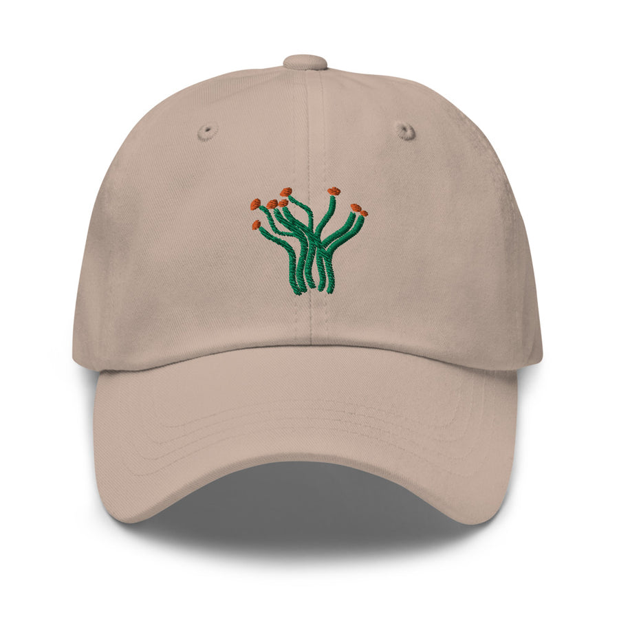 Ocotillo cap