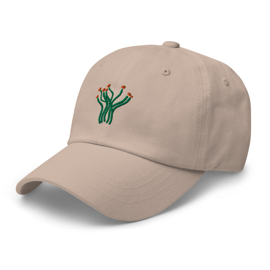 Ocotillo cap