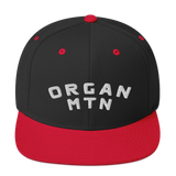 Organ MTN 3D Puff Snapback Hat