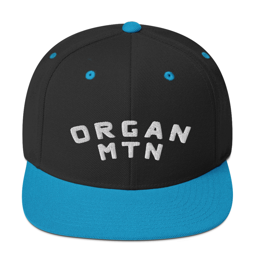 Organ MTN 3D Puff Snapback Hat