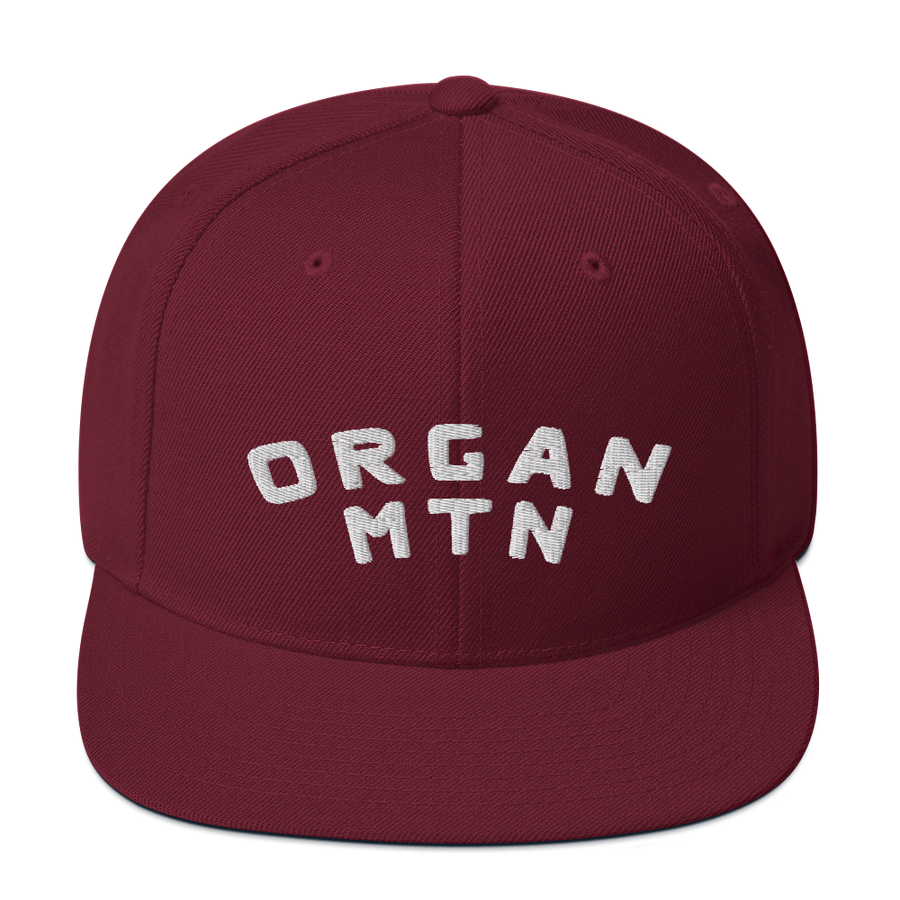 Organ MTN 3D Puff Snapback Hat