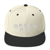 Organ MTN 3D Puff Snapback Hat