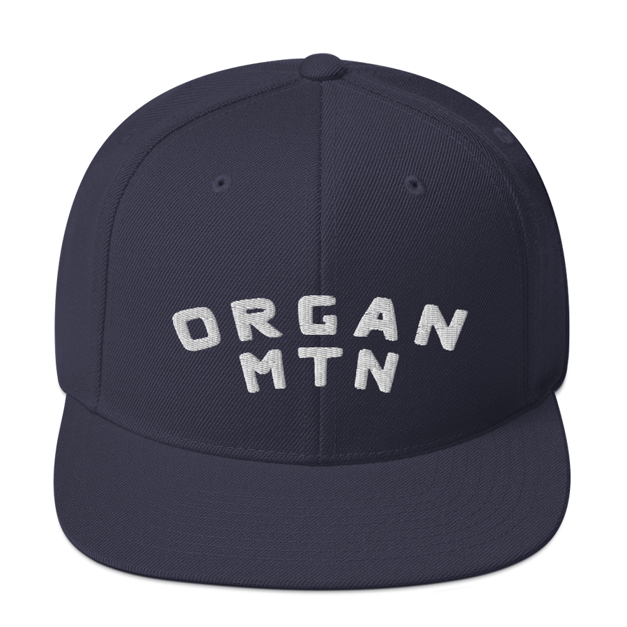 Organ MTN 3D Puff Snapback Hat