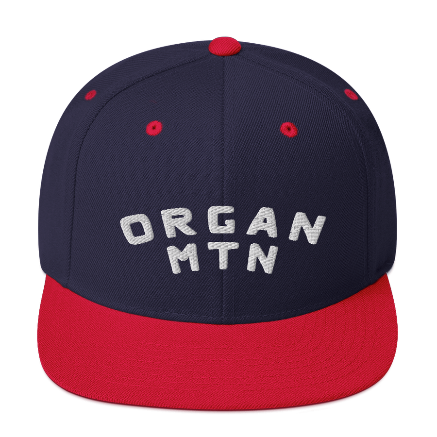 Organ MTN 3D Puff Snapback Hat