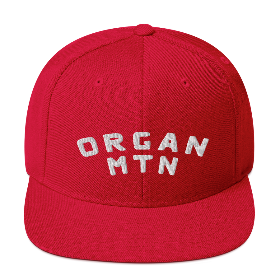 Organ MTN 3D Puff Snapback Hat
