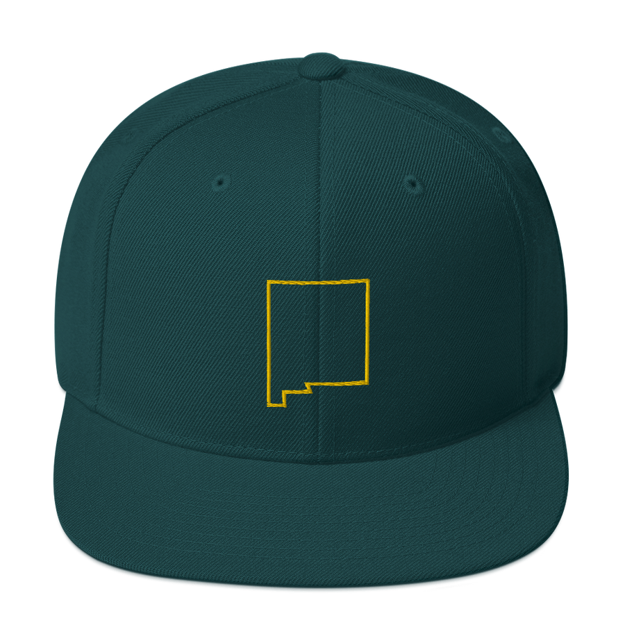 New Mexico Outline Snapback Hat