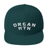 Organ MTN 3D Puff Snapback Hat