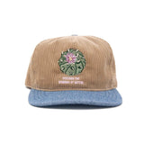 The Ampal Creative - DISCOVER WONDERS - STRAPBACK