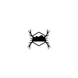 Organ Mountain Antlers