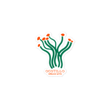 Ocotillo