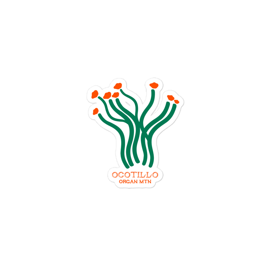 Ocotillo