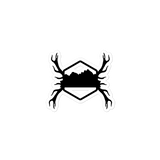 Organ Mountain Antlers