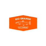 Rio Grande Cutthroat