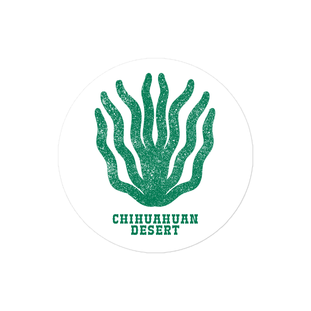 Chihuahuan Desert